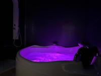 Linstant étoilé SPA Dijon centre - Bed and Breakfast Dijon