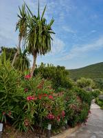 Petit Havre de Paix avec Jacuzzi Luxe & Jardin Privatif Zen - B&B Cavalaire-sur-Mer