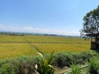 โพธิ์ทองริมทุ่ง Pothong Rimtung Hotel - B&B Fang