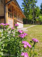 Ma Ritz - B&B Zaovine