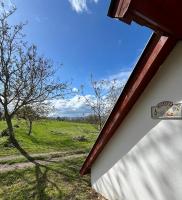 Double Room with Park View