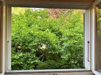 Bears View BB - Chambres d’hôtes Berne