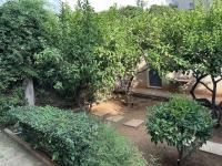 Apartamento con terraza