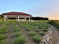 Siedlisko Panorama na Koncu Swiata - Całoroczny domek - B&B Podgórz