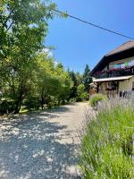 The Wood Nest Apartment - B&B Borovnica