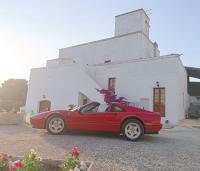 Masseria Le Mesolecchie - B&B Crispiano