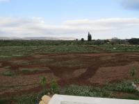 B&B Sapori di Fichidindia - B&B Lido di Noto