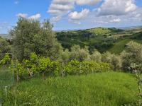 Appartamento con 3 Camere da Letto e con Vista