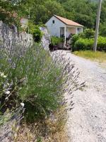 Apartment Zorka - B&B