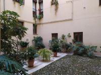 4 balconies house, central and near the Alhambra - B&B Granada