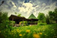 Casuta din Padure - Ferienwohnung Călimăneşti