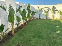 Villa rez de chaussée luxe - B&B Soliman