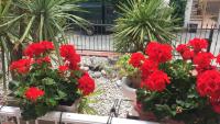 Casa Mantegna - Bed and Breakfast Giulianova