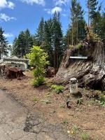 Relaxing Redwood Retreat - King Suite - No Chores - B&B Smith River
