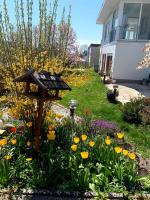 Peaceful Garden Apartment in Schweinfurt - Ferienwohnung Schweinfurt