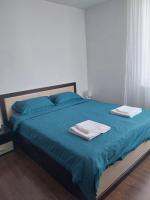 Ianca Urban Stay - Chambres d'hôtes Şelimbăr