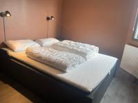 Four-Bedroom Deluxe Apartment