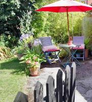 Rosehips at Kerensa, Naburn - B&B York