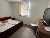 Appartamento con 1 Camera da Letto, Balcone e Vista Montagna