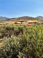 Ampelonas Antiparos - B&B Antíparos