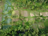 Selatan Rinjani - Bed and Breakfast Tetebatu