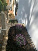 T5 · Cozy Retreat 50m to Beach Garden Escape - Ferienwohnung Tamariu