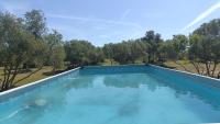 Au coeur des oliviers en Provence - B&B