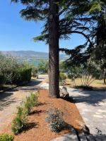 Cedrus House - New Prestige Stay - Chambres d'hôtes Trogir