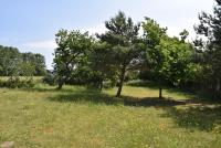 Schwalbenhof - Ferienwohnung Ostseebad Kühlungsborn