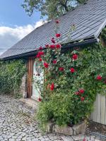 Stodola Jankovna - B&B Skuhrov