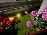 Dimaro Apartment - Your Mountain Experience - B&B Monclassico