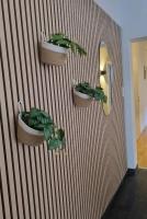 Aurora Sauna Suite, waar rust comfort en een vleugje luxe samenkomen - B&B Haren