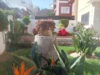 Casa Quico 5 - B&B Santa Cruz de Tenerife