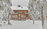 Ski Chalet C23 Ski-in Ski-out by Aavalevi - B&B Levi