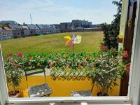 Apartment with terrace in Berchem-Sainte-Agathe - B&B Bruxelles