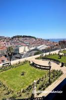 Alfama Historical II by Homing - B&B