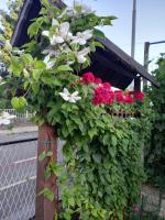 Apartment Zorec - B&B Maribor