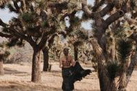 Joshua Tree - Under the Stars-Pool, Spa & Fire pit - B&B Yucca Valley