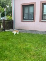 Apartmán v centru - B&B Třeboň