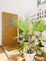 Apartamento Edificio calima - Chambres d’hôtes San Andrés