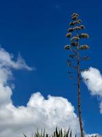 L' Aurora - B&B Menfi