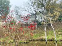 Romantic Historic - Cottage Farmhouse - Pond - Porch - Fenced - The Cottage at Chappell Hill - Chambres d'hôtes Chappell Hill