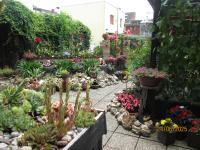 Zentrale-ruhige Ferienwohnung - B&B Reichenbach/Vogtland