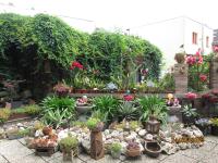 Zentrale-ruhige Ferienwohnung - B&B Reichenbach/Vogtland