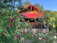 Cabana Livada Merilor - Bed and Breakfast Băile Govora