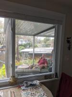 Tree House Treasure - B&B Tarpon Springs
