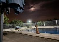 Casa Rosi - Ferienwohnung Yecla