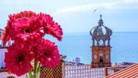 Condominium in the heart of PV 301 - Chambres d’hôtes Puerto Vallarta
