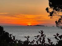 Costa di fiori - B&B Coti-Chiavari