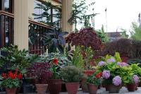 Swayambhu View Guest House - B&B
